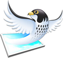 Falcon-логотипом